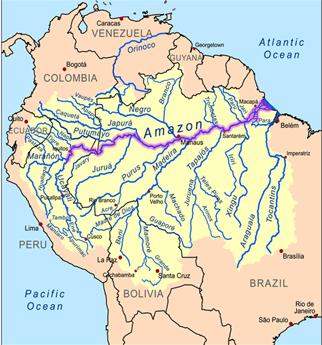 Amazon River Facts | Peru Explorer