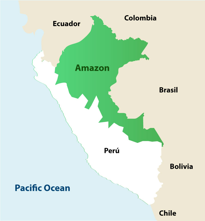 amazon rainforest map outline
