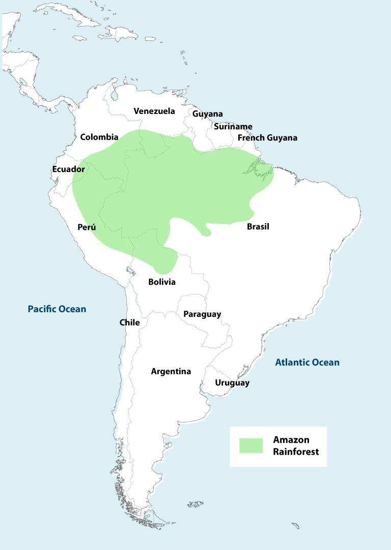 Map Of Amazon Rainforest In South America Amazon Rainforest Map | Peru Explorer