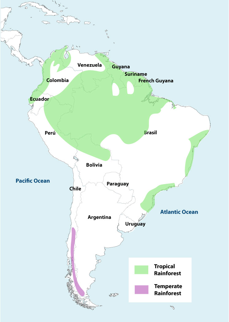 Map Of Amazon Rainforest In South America Amazon Rainforest Map | Peru Explorer